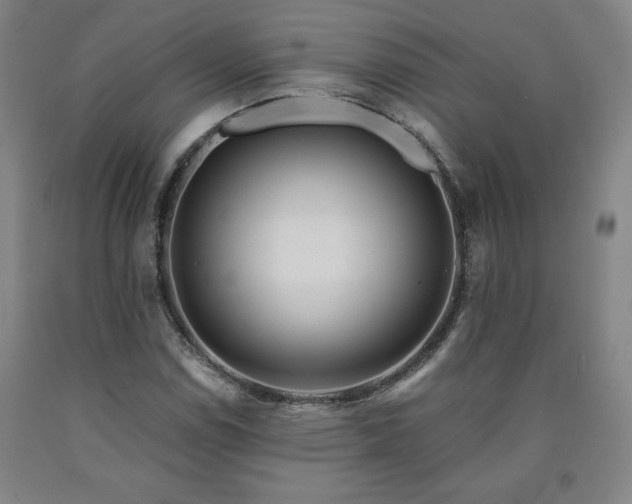 X0000090921114200707301527