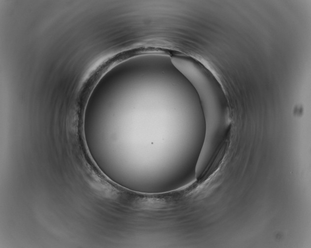 X0000090921115200707301527