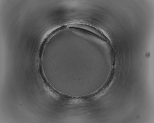 X0000090921117200707301527
