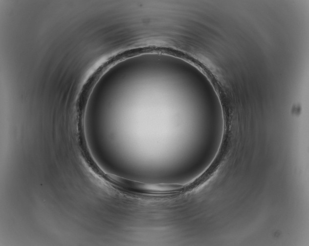 X0000090921118200707301527