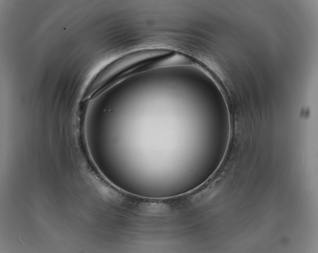X0000090921119200707301527