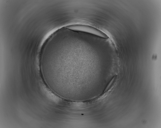 X0000090921120200707301527