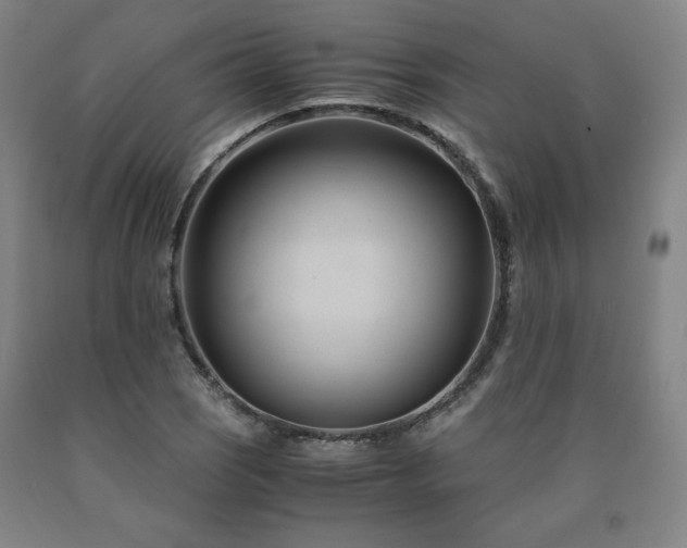 X0000090921121200707301527