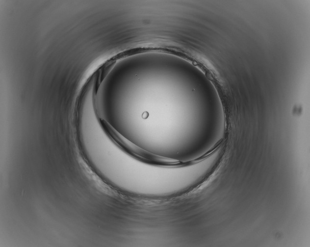 X0000090921122200707301527
