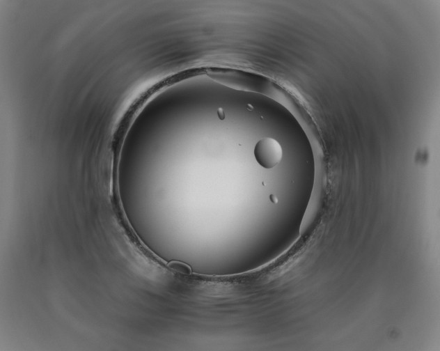 X0000090921123200707301527