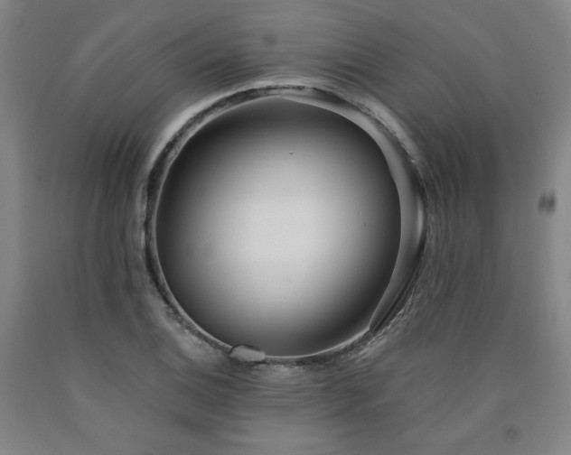 X0000090921124200707301527