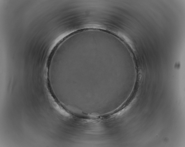 X0000090921125200707301527