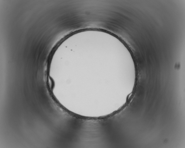 X0000090921126200707301527