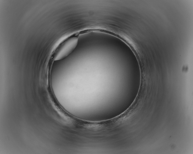 X0000090921127200707301527