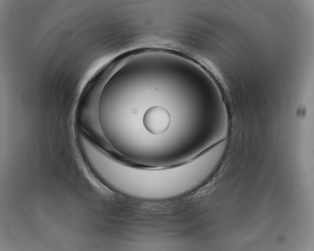 X0000090921128200707301527