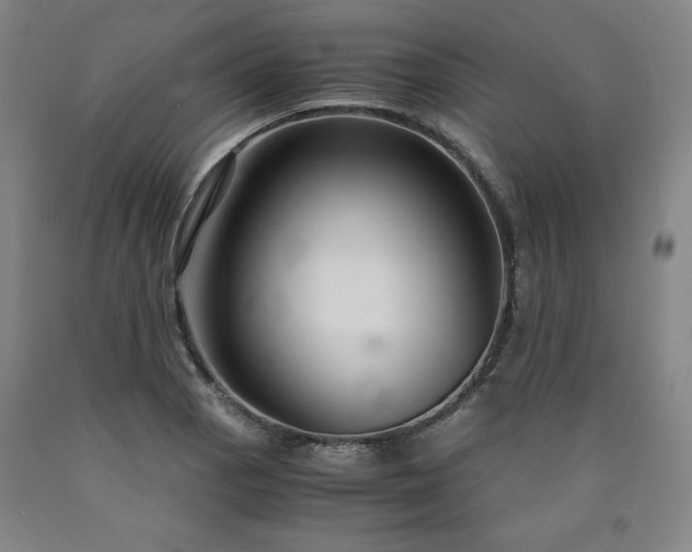 X0000090921129200707301527
