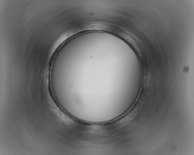 X0000090921130200707301527