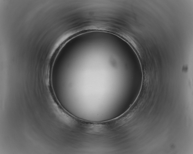 X0000090921131200707301527