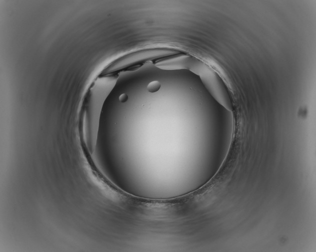 X0000090921132200707301527