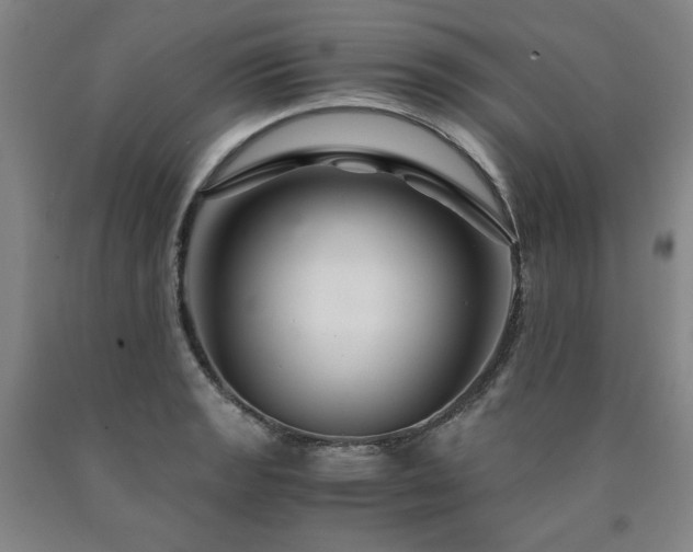 X0000090921133200707301527