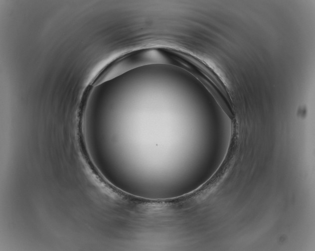 X0000090921134200707301527