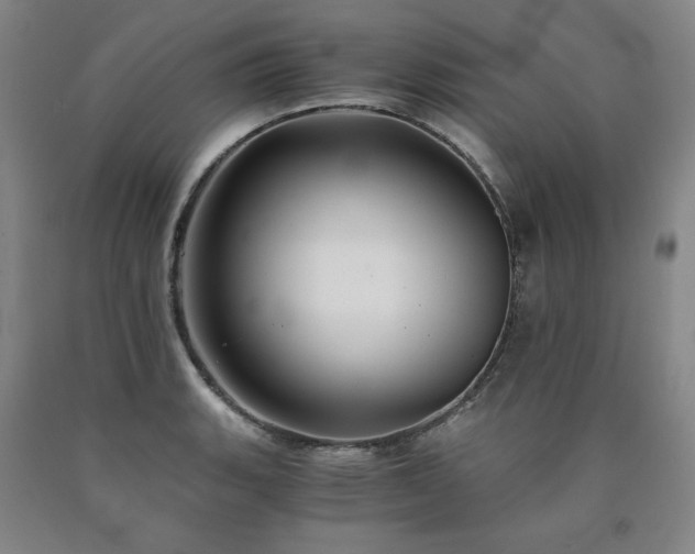 X0000090921135200707301527