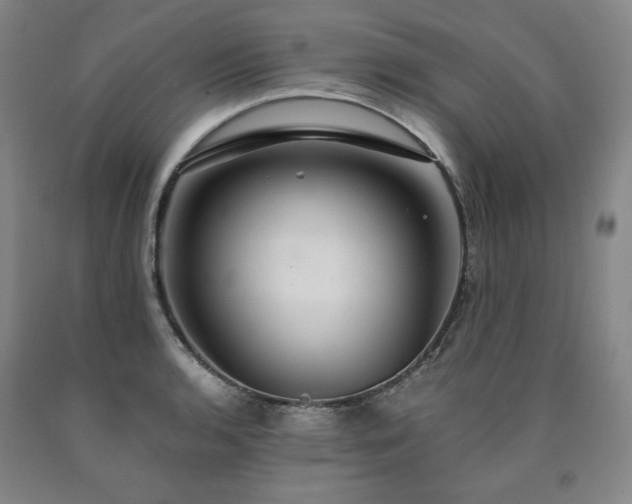X0000090921136200707301527