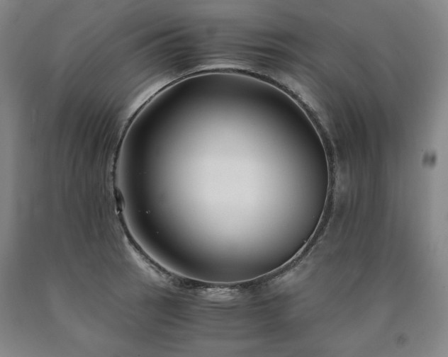 X0000090921137200707301527