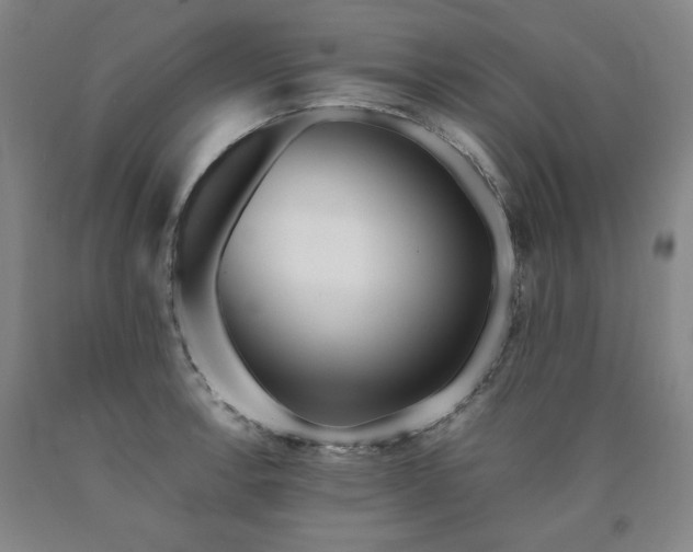 X0000090921138200707301527