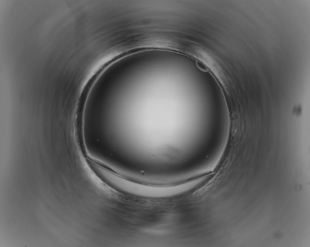 X0000090921139200707301527