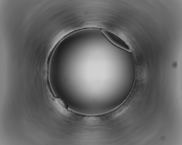 X0000090921140200707301528