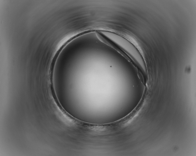 X0000090921141200707301528