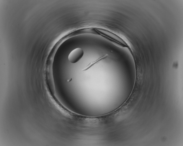 X0000090921142200707301528