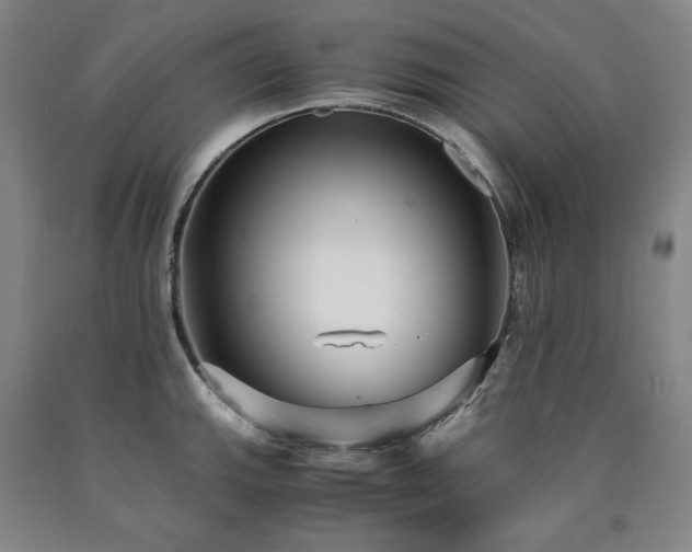 X0000090921143200707301528