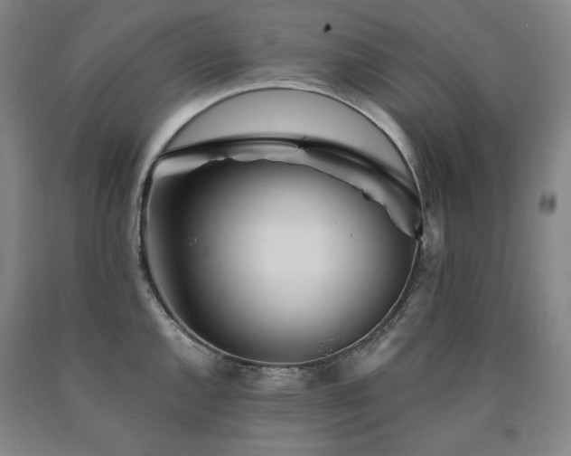 X0000090921144200707301528