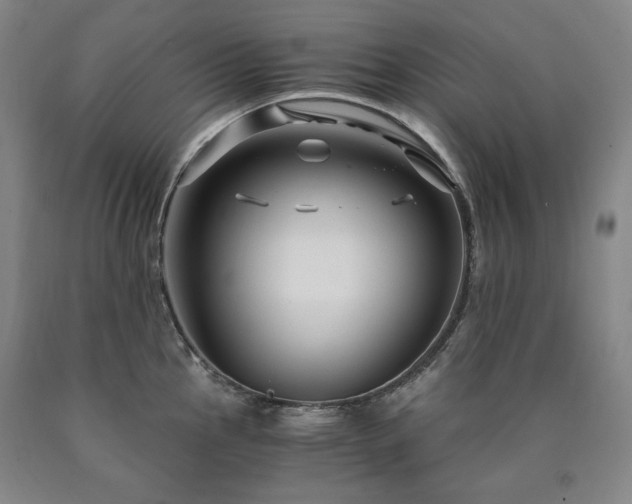 X0000090921145200707301528