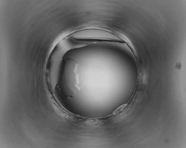X0000090921146200707301528