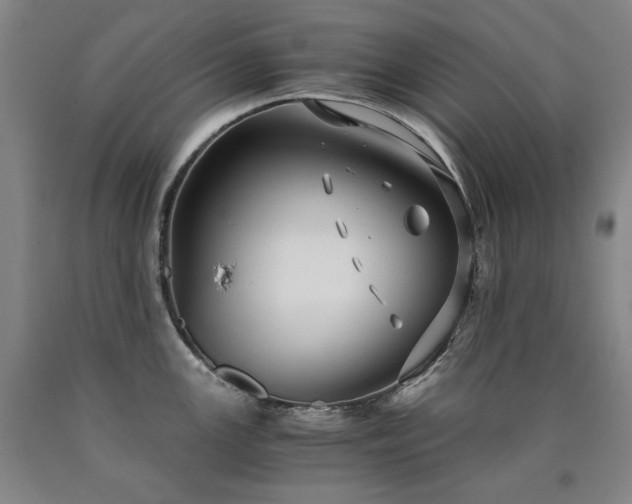 X0000090921147200707301528
