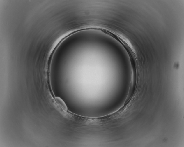 X0000090921148200707301528
