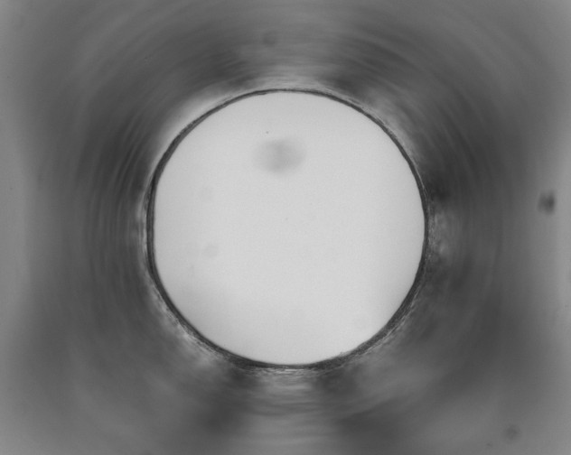 X0000090921150200707301528