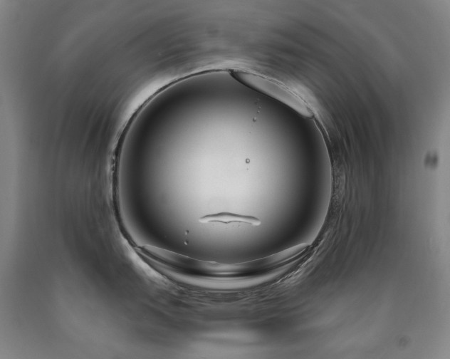 X0000090921151200707301528