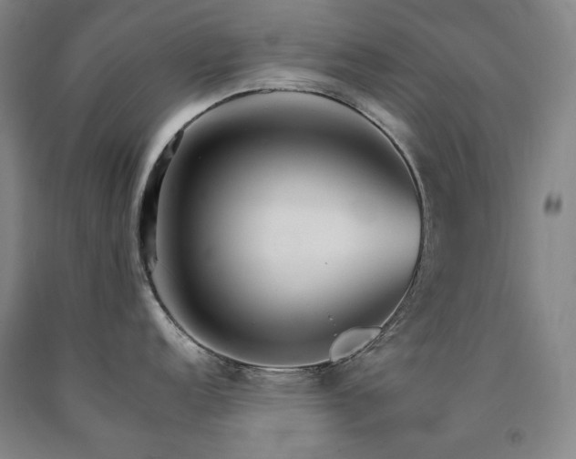 X0000090921152200707301528