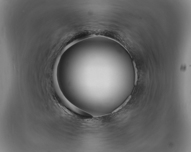 X0000090921153200707301527