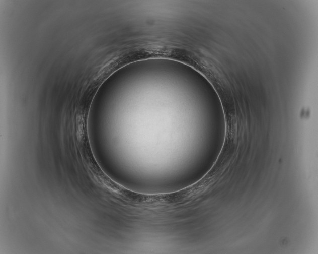 X0000090921154200707301527