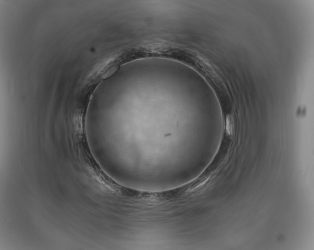 X0000090921155200707301527