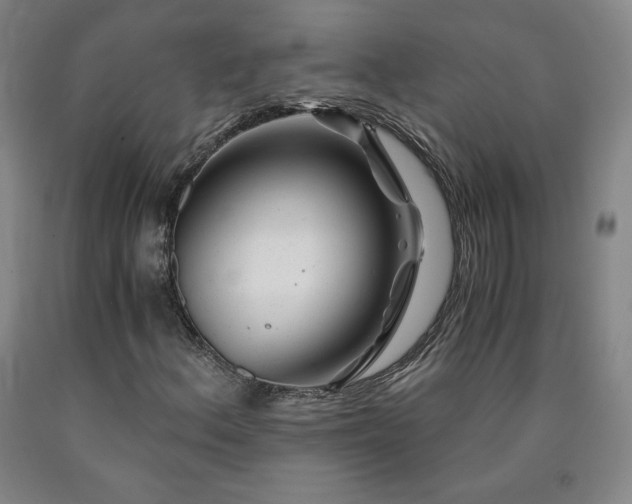 X0000090921156200707301527