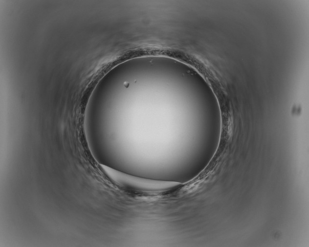 X0000090921157200707301527