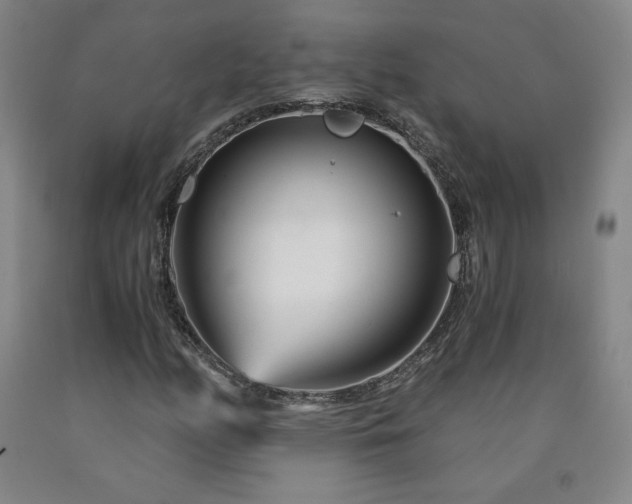 X0000090921158200707301527