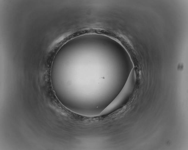 X0000090921159200707301527