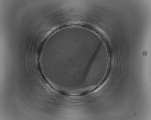 X0000090921161200707301527