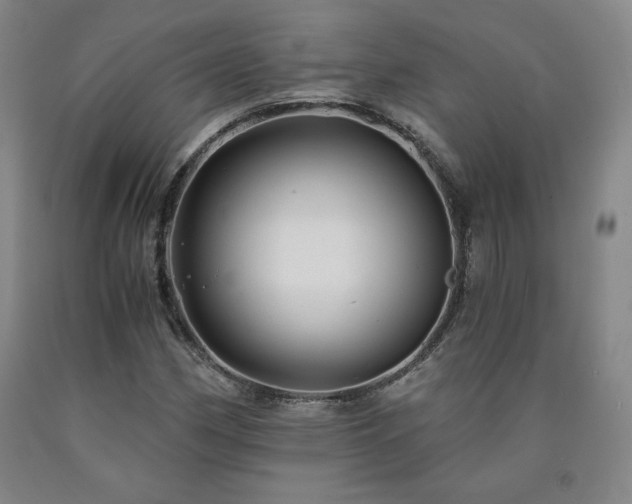 X0000090921162200707301527