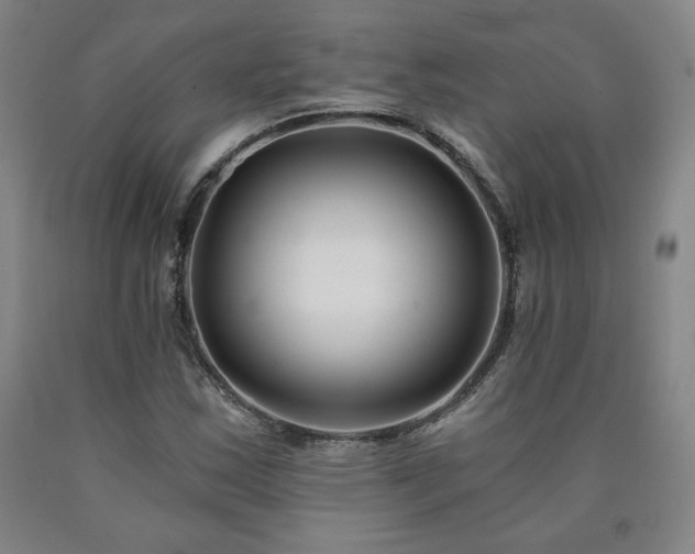 X0000090921163200707301527