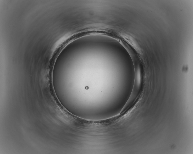 X0000090921164200707301527
