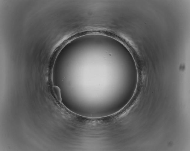 X0000090921165200707301527