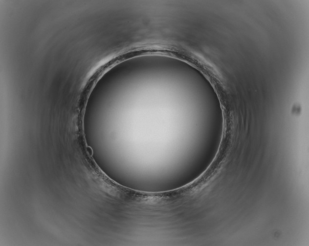 X0000090921166200707301527